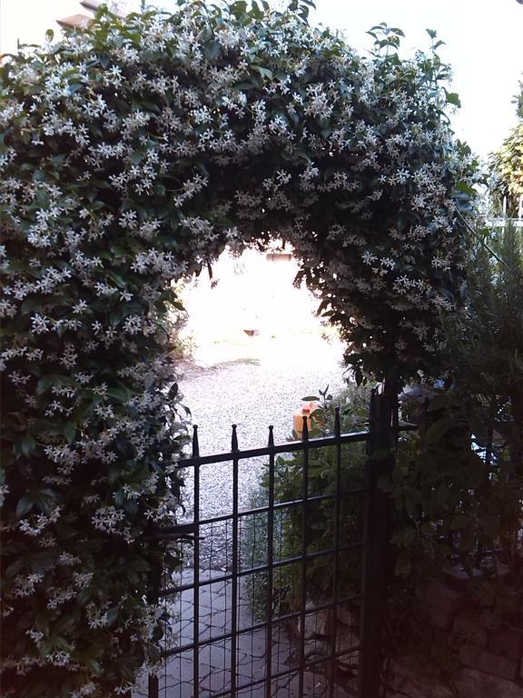 La Carbonara 6 Bed & Breakfast Bardolino Bagian luar foto