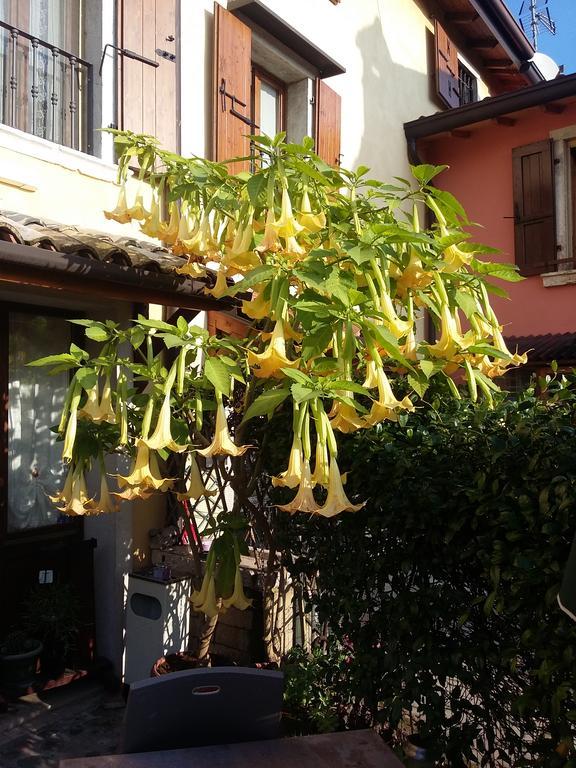 La Carbonara 6 Bed & Breakfast Bardolino Bagian luar foto