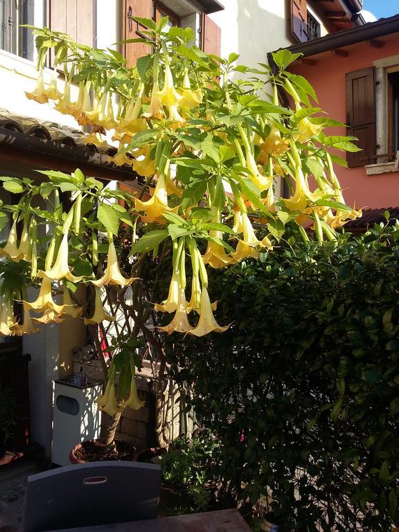 La Carbonara 6 Bed & Breakfast Bardolino Bagian luar foto